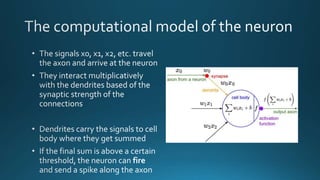 Introduction to Neural Networks and Deep Learning from Scratch
