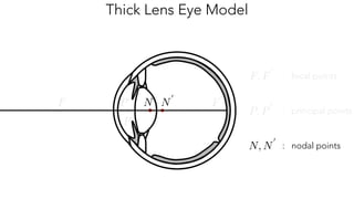 Thick Lens Eye Model
N<latexit sha1_base64="xC4WQGpW4aYStRlrheUI+mglWFM=">AAAB6HicbVBNS8NAEJ3Ur1q/qh69LBbBU0lE0JMUvHiSFuwHtKFstpN27WYTdjdCCf0FXjwo4tWf5M1/47bNQVsfDDzem2FmXpAIro3rfjuFtfWNza3idmlnd2//oHx41NJxqhg2WSxi1QmoRsElNg03AjuJQhoFAtvB+Hbmt59QaR7LBzNJ0I/oUPKQM2qs1Ljvlytu1Z2DrBIvJxXIUe+Xv3qDmKURSsME1brruYnxM6oMZwKnpV6qMaFsTIfYtVTSCLWfzQ+dkjOrDEgYK1vSkLn6eyKjkdaTKLCdETUjvezNxP+8bmrCaz/jMkkNSrZYFKaCmJjMviYDrpAZMbGEMsXtrYSNqKLM2GxKNgRv+eVV0rqoem7Va1xWajd5HEU4gVM4Bw+uoAZ3UIcmMEB4hld4cx6dF+fd+Vi0Fpx85hj+wPn8AaVdjM4=</latexit><latexit sha1_base64="xC4WQGpW4aYStRlrheUI+mglWFM=">AAAB6HicbVBNS8NAEJ3Ur1q/qh69LBbBU0lE0JMUvHiSFuwHtKFstpN27WYTdjdCCf0FXjwo4tWf5M1/47bNQVsfDDzem2FmXpAIro3rfjuFtfWNza3idmlnd2//oHx41NJxqhg2WSxi1QmoRsElNg03AjuJQhoFAtvB+Hbmt59QaR7LBzNJ0I/oUPKQM2qs1Ljvlytu1Z2DrBIvJxXIUe+Xv3qDmKURSsME1brruYnxM6oMZwKnpV6qMaFsTIfYtVTSCLWfzQ+dkjOrDEgYK1vSkLn6eyKjkdaTKLCdETUjvezNxP+8bmrCaz/jMkkNSrZYFKaCmJjMviYDrpAZMbGEMsXtrYSNqKLM2GxKNgRv+eVV0rqoem7Va1xWajd5HEU4gVM4Bw+uoAZ3UIcmMEB4hld4cx6dF+fd+Vi0Fpx85hj+wPn8AaVdjM4=</latexit><latexit sha1_base64="xC4WQGpW4aYStRlrheUI+mglWFM=">AAAB6HicbVBNS8NAEJ3Ur1q/qh69LBbBU0lE0JMUvHiSFuwHtKFstpN27WYTdjdCCf0FXjwo4tWf5M1/47bNQVsfDDzem2FmXpAIro3rfjuFtfWNza3idmlnd2//oHx41NJxqhg2WSxi1QmoRsElNg03AjuJQhoFAtvB+Hbmt59QaR7LBzNJ0I/oUPKQM2qs1Ljvlytu1Z2DrBIvJxXIUe+Xv3qDmKURSsME1brruYnxM6oMZwKnpV6qMaFsTIfYtVTSCLWfzQ+dkjOrDEgYK1vSkLn6eyKjkdaTKLCdETUjvezNxP+8bmrCaz/jMkkNSrZYFKaCmJjMviYDrpAZMbGEMsXtrYSNqKLM2GxKNgRv+eVV0rqoem7Va1xWajd5HEU4gVM4Bw+uoAZ3UIcmMEB4hld4cx6dF+fd+Vi0Fpx85hj+wPn8AaVdjM4=</latexit><latexit sha1_base64="hP+6LrUf2d3tZaldqaQQvEKMXyw=">AAAB2XicbZDNSgMxFIXv1L86Vq1rN8EiuCozbnQpuHFZwbZCO5RM5k4bmskMyR2hDH0BF25EfC93vo3pz0JbDwQ+zknIvSculLQUBN9ebWd3b/+gfugfNfzjk9Nmo2fz0gjsilzl5jnmFpXU2CVJCp8LgzyLFfbj6f0i77+gsTLXTzQrMMr4WMtUCk7O6oyaraAdLMW2IVxDC9YaNb+GSS7KDDUJxa0dhEFBUcUNSaFw7g9LiwUXUz7GgUPNM7RRtRxzzi6dk7A0N+5oYkv394uKZ9bOstjdzDhN7Ga2MP/LBiWlt1EldVESarH6KC0Vo5wtdmaJNChIzRxwYaSblYkJN1yQa8Z3HYSbG29D77odBu3wMYA6nMMFXEEIN3AHD9CBLghI4BXevYn35n2suqp569LO4I+8zx84xIo4</latexit><latexit sha1_base64="h9GLNPhIlhJID1m/Fwiv2jkEGto=">AAAB3XicbZBLSwMxFIXv1FetVatbN8EiuCozbnQpuHElLdgHtEPJpHfa2ExmSO4IpfQXuHGhiH/Lnf/G9LHQ1gOBj3MScu+JMiUt+f63V9ja3tndK+6XDsqHR8eVk3LLprkR2BSpSk0n4haV1NgkSQo7mUGeRArb0fhunref0ViZ6keaZBgmfKhlLAUnZzUe+pWqX/MXYpsQrKAKK9X7la/eIBV5gpqE4tZ2Az+jcMoNSaFwVurlFjMuxnyIXYeaJ2jD6WLQGbtwzoDFqXFHE1u4v19MeWLtJInczYTTyK5nc/O/rJtTfBNOpc5yQi2WH8W5YpSy+dZsIA0KUhMHXBjpZmVixA0X5LopuRKC9ZU3oXVVC/xa0PChCGdwDpcQwDXcwj3UoQkCEF7gDd69J+/V+1jWVfBWvZ3CH3mfP5O5i38=</latexit><latexit sha1_base64="h9GLNPhIlhJID1m/Fwiv2jkEGto=">AAAB3XicbZBLSwMxFIXv1FetVatbN8EiuCozbnQpuHElLdgHtEPJpHfa2ExmSO4IpfQXuHGhiH/Lnf/G9LHQ1gOBj3MScu+JMiUt+f63V9ja3tndK+6XDsqHR8eVk3LLprkR2BSpSk0n4haV1NgkSQo7mUGeRArb0fhunref0ViZ6keaZBgmfKhlLAUnZzUe+pWqX/MXYpsQrKAKK9X7la/eIBV5gpqE4tZ2Az+jcMoNSaFwVurlFjMuxnyIXYeaJ2jD6WLQGbtwzoDFqXFHE1u4v19MeWLtJInczYTTyK5nc/O/rJtTfBNOpc5yQi2WH8W5YpSy+dZsIA0KUhMHXBjpZmVixA0X5LopuRKC9ZU3oXVVC/xa0PChCGdwDpcQwDXcwj3UoQkCEF7gDd69J+/V+1jWVfBWvZ3CH3mfP5O5i38=</latexit><latexit sha1_base64="DOLKDrEBvcyBfEhKgX1B2zUGXT4=">AAAB6HicbVA9SwNBEJ2LXzF+RS1tFoNgFe5sTCUBGytJwHxAcoS9zVyyZm/v2N0TwpFfYGOhiK0/yc5/4ya5QhMfDDzem2FmXpAIro3rfjuFjc2t7Z3ibmlv/+DwqHx80tZxqhi2WCxi1Q2oRsEltgw3AruJQhoFAjvB5Hbud55QaR7LBzNN0I/oSPKQM2qs1LwflCtu1V2ArBMvJxXI0RiUv/rDmKURSsME1brnuYnxM6oMZwJnpX6qMaFsQkfYs1TSCLWfLQ6dkQurDEkYK1vSkIX6eyKjkdbTKLCdETVjverNxf+8XmrCmp9xmaQGJVsuClNBTEzmX5MhV8iMmFpCmeL2VsLGVFFmbDYlG4K3+vI6aV9VPbfqNd1K/SaPowhncA6X4ME11OEOGtACBgjP8ApvzqPz4rw7H8vWgpPPnMIfOJ8/pB2Myg==</latexit><latexit sha1_base64="xC4WQGpW4aYStRlrheUI+mglWFM=">AAAB6HicbVBNS8NAEJ3Ur1q/qh69LBbBU0lE0JMUvHiSFuwHtKFstpN27WYTdjdCCf0FXjwo4tWf5M1/47bNQVsfDDzem2FmXpAIro3rfjuFtfWNza3idmlnd2//oHx41NJxqhg2WSxi1QmoRsElNg03AjuJQhoFAtvB+Hbmt59QaR7LBzNJ0I/oUPKQM2qs1Ljvlytu1Z2DrBIvJxXIUe+Xv3qDmKURSsME1brruYnxM6oMZwKnpV6qMaFsTIfYtVTSCLWfzQ+dkjOrDEgYK1vSkLn6eyKjkdaTKLCdETUjvezNxP+8bmrCaz/jMkkNSrZYFKaCmJjMviYDrpAZMbGEMsXtrYSNqKLM2GxKNgRv+eVV0rqoem7Va1xWajd5HEU4gVM4Bw+uoAZ3UIcmMEB4hld4cx6dF+fd+Vi0Fpx85hj+wPn8AaVdjM4=</latexit><latexit sha1_base64="xC4WQGpW4aYStRlrheUI+mglWFM=">AAAB6HicbVBNS8NAEJ3Ur1q/qh69LBbBU0lE0JMUvHiSFuwHtKFstpN27WYTdjdCCf0FXjwo4tWf5M1/47bNQVsfDDzem2FmXpAIro3rfjuFtfWNza3idmlnd2//oHx41NJxqhg2WSxi1QmoRsElNg03AjuJQhoFAtvB+Hbmt59QaR7LBzNJ0I/oUPKQM2qs1Ljvlytu1Z2DrBIvJxXIUe+Xv3qDmKURSsME1brruYnxM6oMZwKnpV6qMaFsTIfYtVTSCLWfzQ+dkjOrDEgYK1vSkLn6eyKjkdaTKLCdETUjvezNxP+8bmrCaz/jMkkNSrZYFKaCmJjMviYDrpAZMbGEMsXtrYSNqKLM2GxKNgRv+eVV0rqoem7Va1xWajd5HEU4gVM4Bw+uoAZ3UIcmMEB4hld4cx6dF+fd+Vi0Fpx85hj+wPn8AaVdjM4=</latexit><latexit sha1_base64="xC4WQGpW4aYStRlrheUI+mglWFM=">AAAB6HicbVBNS8NAEJ3Ur1q/qh69LBbBU0lE0JMUvHiSFuwHtKFstpN27WYTdjdCCf0FXjwo4tWf5M1/47bNQVsfDDzem2FmXpAIro3rfjuFtfWNza3idmlnd2//oHx41NJxqhg2WSxi1QmoRsElNg03AjuJQhoFAtvB+Hbmt59QaR7LBzNJ0I/oUPKQM2qs1Ljvlytu1Z2DrBIvJxXIUe+Xv3qDmKURSsME1brruYnxM6oMZwKnpV6qMaFsTIfYtVTSCLWfzQ+dkjOrDEgYK1vSkLn6eyKjkdaTKLCdETUjvezNxP+8bmrCaz/jMkkNSrZYFKaCmJjMviYDrpAZMbGEMsXtrYSNqKLM2GxKNgRv+eVV0rqoem7Va1xWajd5HEU4gVM4Bw+uoAZ3UIcmMEB4hld4cx6dF+fd+Vi0Fpx85hj+wPn8AaVdjM4=</latexit><latexit sha1_base64="xC4WQGpW4aYStRlrheUI+mglWFM=">AAAB6HicbVBNS8NAEJ3Ur1q/qh69LBbBU0lE0JMUvHiSFuwHtKFstpN27WYTdjdCCf0FXjwo4tWf5M1/47bNQVsfDDzem2FmXpAIro3rfjuFtfWNza3idmlnd2//oHx41NJxqhg2WSxi1QmoRsElNg03AjuJQhoFAtvB+Hbmt59QaR7LBzNJ0I/oUPKQM2qs1Ljvlytu1Z2DrBIvJxXIUe+Xv3qDmKURSsME1brruYnxM6oMZwKnpV6qMaFsTIfYtVTSCLWfzQ+dkjOrDEgYK1vSkLn6eyKjkdaTKLCdETUjvezNxP+8bmrCaz/jMkkNSrZYFKaCmJjMviYDrpAZMbGEMsXtrYSNqKLM2GxKNgRv+eVV0rqoem7Va1xWajd5HEU4gVM4Bw+uoAZ3UIcmMEB4hld4cx6dF+fd+Vi0Fpx85hj+wPn8AaVdjM4=</latexit><latexit sha1_base64="xC4WQGpW4aYStRlrheUI+mglWFM=">AAAB6HicbVBNS8NAEJ3Ur1q/qh69LBbBU0lE0JMUvHiSFuwHtKFstpN27WYTdjdCCf0FXjwo4tWf5M1/47bNQVsfDDzem2FmXpAIro3rfjuFtfWNza3idmlnd2//oHx41NJxqhg2WSxi1QmoRsElNg03AjuJQhoFAtvB+Hbmt59QaR7LBzNJ0I/oUPKQM2qs1Ljvlytu1Z2DrBIvJxXIUe+Xv3qDmKURSsME1brruYnxM6oMZwKnpV6qMaFsTIfYtVTSCLWfzQ+dkjOrDEgYK1vSkLn6eyKjkdaTKLCdETUjvezNxP+8bmrCaz/jMkkNSrZYFKaCmJjMviYDrpAZMbGEMsXtrYSNqKLM2GxKNgRv+eVV0rqoem7Va1xWajd5HEU4gVM4Bw+uoAZ3UIcmMEB4hld4cx6dF+fd+Vi0Fpx85hj+wPn8AaVdjM4=</latexit><latexit sha1_base64="xC4WQGpW4aYStRlrheUI+mglWFM=">AAAB6HicbVBNS8NAEJ3Ur1q/qh69LBbBU0lE0JMUvHiSFuwHtKFstpN27WYTdjdCCf0FXjwo4tWf5M1/47bNQVsfDDzem2FmXpAIro3rfjuFtfWNza3idmlnd2//oHx41NJxqhg2WSxi1QmoRsElNg03AjuJQhoFAtvB+Hbmt59QaR7LBzNJ0I/oUPKQM2qs1Ljvlytu1Z2DrBIvJxXIUe+Xv3qDmKURSsME1brruYnxM6oMZwKnpV6qMaFsTIfYtVTSCLWfzQ+dkjOrDEgYK1vSkLn6eyKjkdaTKLCdETUjvezNxP+8bmrCaz/jMkkNSrZYFKaCmJjMviYDrpAZMbGEMsXtrYSNqKLM2GxKNgRv+eVV0rqoem7Va1xWajd5HEU4gVM4Bw+uoAZ3UIcmMEB4hld4cx6dF+fd+Vi0Fpx85hj+wPn8AaVdjM4=</latexit>
N
0
<latexit sha1_base64="TTbh67/pSrJ7wwXueBp/Nb100P8=">AAAB7HicbVBNS8NAEJ3Ur1q/qh69LBbRU0lE0JMUvHiSCqYttLFsttN26WYTdjdCCf0NXjwo4tUf5M1/47bNQVsfDDzem2FmXpgIro3rfjuFldW19Y3iZmlre2d3r7x/0NBxqhj6LBaxaoVUo+ASfcONwFaikEahwGY4upn6zSdUmsfywYwTDCI6kLzPGTVW8u8es9NJt1xxq+4MZJl4OalAjnq3/NXpxSyNUBomqNZtz01MkFFlOBM4KXVSjQllIzrAtqWSRqiDbHbshJxYpUf6sbIlDZmpvycyGmk9jkLbGVEz1IveVPzPa6emfxVkXCapQcnmi/qpICYm089JjytkRowtoUxxeythQ6ooMzafkg3BW3x5mTTOq55b9e4vKrXrPI4iHMExnIEHl1CDW6iDDww4PMMrvDnSeXHenY95a8HJZw7hD5zPH34JjnM=</latexit><latexit sha1_base64="TTbh67/pSrJ7wwXueBp/Nb100P8=">AAAB7HicbVBNS8NAEJ3Ur1q/qh69LBbRU0lE0JMUvHiSCqYttLFsttN26WYTdjdCCf0NXjwo4tUf5M1/47bNQVsfDDzem2FmXpgIro3rfjuFldW19Y3iZmlre2d3r7x/0NBxqhj6LBaxaoVUo+ASfcONwFaikEahwGY4upn6zSdUmsfywYwTDCI6kLzPGTVW8u8es9NJt1xxq+4MZJl4OalAjnq3/NXpxSyNUBomqNZtz01MkFFlOBM4KXVSjQllIzrAtqWSRqiDbHbshJxYpUf6sbIlDZmpvycyGmk9jkLbGVEz1IveVPzPa6emfxVkXCapQcnmi/qpICYm089JjytkRowtoUxxeythQ6ooMzafkg3BW3x5mTTOq55b9e4vKrXrPI4iHMExnIEHl1CDW6iDDww4PMMrvDnSeXHenY95a8HJZw7hD5zPH34JjnM=</latexit><latexit sha1_base64="TTbh67/pSrJ7wwXueBp/Nb100P8=">AAAB7HicbVBNS8NAEJ3Ur1q/qh69LBbRU0lE0JMUvHiSCqYttLFsttN26WYTdjdCCf0NXjwo4tUf5M1/47bNQVsfDDzem2FmXpgIro3rfjuFldW19Y3iZmlre2d3r7x/0NBxqhj6LBaxaoVUo+ASfcONwFaikEahwGY4upn6zSdUmsfywYwTDCI6kLzPGTVW8u8es9NJt1xxq+4MZJl4OalAjnq3/NXpxSyNUBomqNZtz01MkFFlOBM4KXVSjQllIzrAtqWSRqiDbHbshJxYpUf6sbIlDZmpvycyGmk9jkLbGVEz1IveVPzPa6emfxVkXCapQcnmi/qpICYm089JjytkRowtoUxxeythQ6ooMzafkg3BW3x5mTTOq55b9e4vKrXrPI4iHMExnIEHl1CDW6iDDww4PMMrvDnSeXHenY95a8HJZw7hD5zPH34JjnM=</latexit><latexit sha1_base64="TTbh67/pSrJ7wwXueBp/Nb100P8=">AAAB7HicbVBNS8NAEJ3Ur1q/qh69LBbRU0lE0JMUvHiSCqYttLFsttN26WYTdjdCCf0NXjwo4tUf5M1/47bNQVsfDDzem2FmXpgIro3rfjuFldW19Y3iZmlre2d3r7x/0NBxqhj6LBaxaoVUo+ASfcONwFaikEahwGY4upn6zSdUmsfywYwTDCI6kLzPGTVW8u8es9NJt1xxq+4MZJl4OalAjnq3/NXpxSyNUBomqNZtz01MkFFlOBM4KXVSjQllIzrAtqWSRqiDbHbshJxYpUf6sbIlDZmpvycyGmk9jkLbGVEz1IveVPzPa6emfxVkXCapQcnmi/qpICYm089JjytkRowtoUxxeythQ6ooMzafkg3BW3x5mTTOq55b9e4vKrXrPI4iHMExnIEHl1CDW6iDDww4PMMrvDnSeXHenY95a8HJZw7hD5zPH34JjnM=</latexit>
N, N
0
<latexit sha1_base64="icz1DT6aEf9qlPYRyHX6xBE0Oa4=">AAAB73icbVDLSgNBEOz1GeMr6tHLYBA9SNgVQU8S8OIpRDAPSNYwO5lNhszOrjO9QljyE148KOLV3/Hm3zh5HDSxoKGo6qa7K0ikMOi6387S8srq2npuI7+5tb2zW9jbr5s41YzXWCxj3Qyo4VIoXkOBkjcTzWkUSN4IBjdjv/HEtRGxusdhwv2I9pQIBaNopWbljFQespNRp1B0S+4EZJF4M1KEGaqdwle7G7M04gqZpMa0PDdBP6MaBZN8lG+nhieUDWiPtyxVNOLGzyb3jsixVbokjLUthWSi/p7IaGTMMApsZ0Sxb+a9sfif10oxvPIzoZIUuWLTRWEqCcZk/DzpCs0ZyqEllGlhbyWsTzVlaCPK2xC8+ZcXSf285Lkl7+6iWL6exZGDQziCU/DgEspwC1WoAQMJz/AKb86j8+K8Ox/T1iVnNnMAf+B8/gDaFI8r</latexit><latexit sha1_base64="icz1DT6aEf9qlPYRyHX6xBE0Oa4=">AAAB73icbVDLSgNBEOz1GeMr6tHLYBA9SNgVQU8S8OIpRDAPSNYwO5lNhszOrjO9QljyE148KOLV3/Hm3zh5HDSxoKGo6qa7K0ikMOi6387S8srq2npuI7+5tb2zW9jbr5s41YzXWCxj3Qyo4VIoXkOBkjcTzWkUSN4IBjdjv/HEtRGxusdhwv2I9pQIBaNopWbljFQespNRp1B0S+4EZJF4M1KEGaqdwle7G7M04gqZpMa0PDdBP6MaBZN8lG+nhieUDWiPtyxVNOLGzyb3jsixVbokjLUthWSi/p7IaGTMMApsZ0Sxb+a9sfif10oxvPIzoZIUuWLTRWEqCcZk/DzpCs0ZyqEllGlhbyWsTzVlaCPK2xC8+ZcXSf285Lkl7+6iWL6exZGDQziCU/DgEspwC1WoAQMJz/AKb86j8+K8Ox/T1iVnNnMAf+B8/gDaFI8r</latexit><latexit sha1_base64="icz1DT6aEf9qlPYRyHX6xBE0Oa4=">AAAB73icbVDLSgNBEOz1GeMr6tHLYBA9SNgVQU8S8OIpRDAPSNYwO5lNhszOrjO9QljyE148KOLV3/Hm3zh5HDSxoKGo6qa7K0ikMOi6387S8srq2npuI7+5tb2zW9jbr5s41YzXWCxj3Qyo4VIoXkOBkjcTzWkUSN4IBjdjv/HEtRGxusdhwv2I9pQIBaNopWbljFQespNRp1B0S+4EZJF4M1KEGaqdwle7G7M04gqZpMa0PDdBP6MaBZN8lG+nhieUDWiPtyxVNOLGzyb3jsixVbokjLUthWSi/p7IaGTMMApsZ0Sxb+a9sfif10oxvPIzoZIUuWLTRWEqCcZk/DzpCs0ZyqEllGlhbyWsTzVlaCPK2xC8+ZcXSf285Lkl7+6iWL6exZGDQziCU/DgEspwC1WoAQMJz/AKb86j8+K8Ox/T1iVnNnMAf+B8/gDaFI8r</latexit><latexit sha1_base64="icz1DT6aEf9qlPYRyHX6xBE0Oa4=">AAAB73icbVDLSgNBEOz1GeMr6tHLYBA9SNgVQU8S8OIpRDAPSNYwO5lNhszOrjO9QljyE148KOLV3/Hm3zh5HDSxoKGo6qa7K0ikMOi6387S8srq2npuI7+5tb2zW9jbr5s41YzXWCxj3Qyo4VIoXkOBkjcTzWkUSN4IBjdjv/HEtRGxusdhwv2I9pQIBaNopWbljFQespNRp1B0S+4EZJF4M1KEGaqdwle7G7M04gqZpMa0PDdBP6MaBZN8lG+nhieUDWiPtyxVNOLGzyb3jsixVbokjLUthWSi/p7IaGTMMApsZ0Sxb+a9sfif10oxvPIzoZIUuWLTRWEqCcZk/DzpCs0ZyqEllGlhbyWsTzVlaCPK2xC8+ZcXSf285Lkl7+6iWL6exZGDQziCU/DgEspwC1WoAQMJz/AKb86j8+K8Ox/T1iVnNnMAf+B8/gDaFI8r</latexit>
: nodal points
 