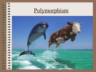Polymorphism
 