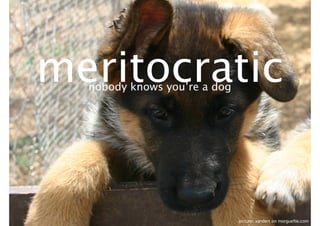 meritocratic
nobody knows you’re a dog

picture: xandert on morgueﬁle.com

 