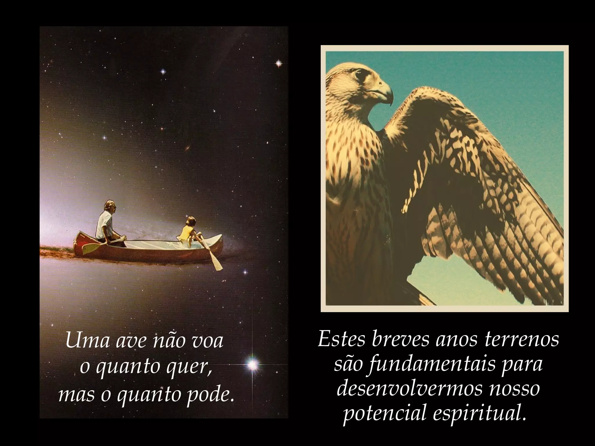 Uma ave não voa
o quanto quer,
mas o quanto pode.
Estes breves anos terrenos
são fundamentais para
desenvolvermos nosso
potencial espiritual.
 