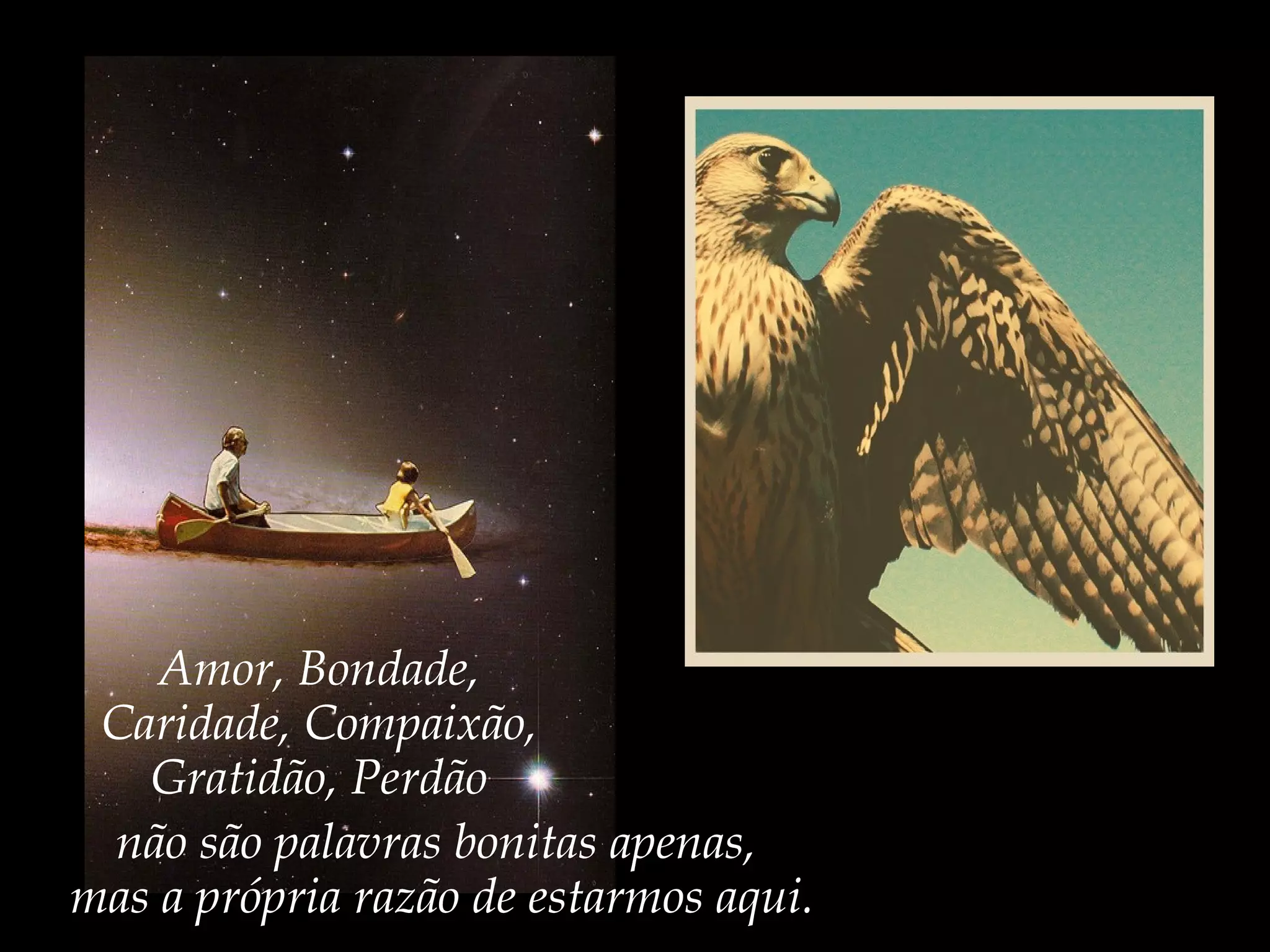 Amor, Bondade,
Caridade, Compaixão,
Gratidão, Perdão
não são palavras bonitas apenas,
mas a própria razão de estarmos aqui.
 