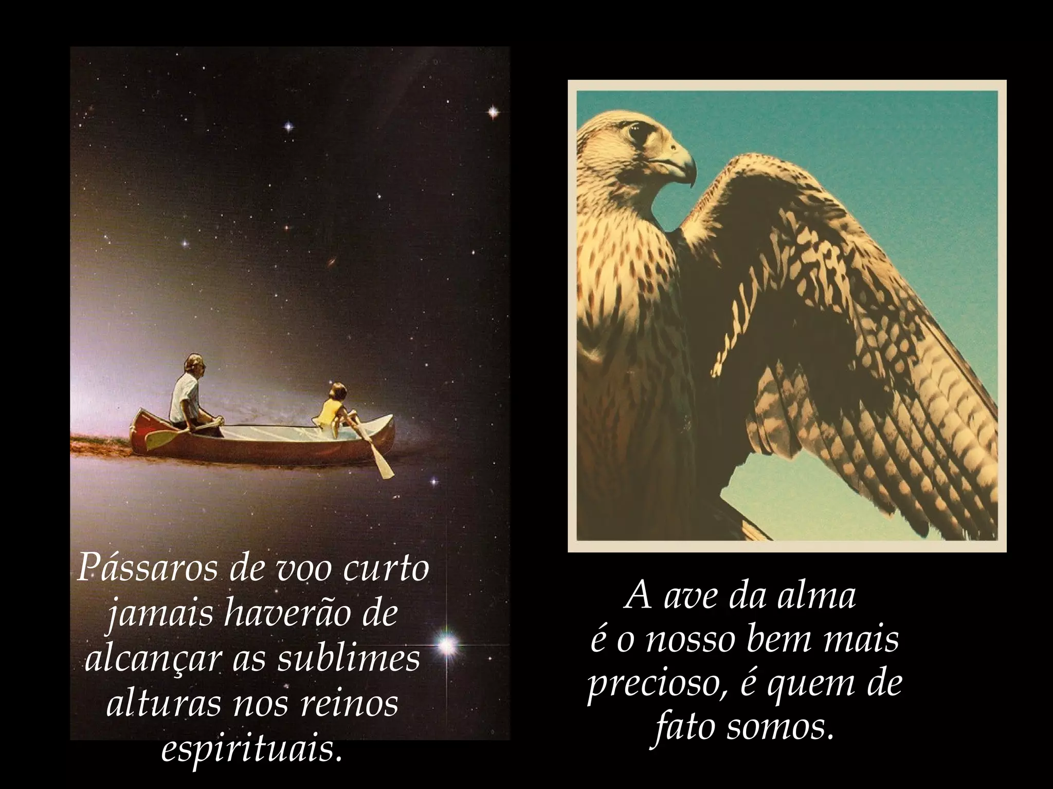 Pássaros de voo curto
jamais haverão de
alcançar as sublimes
alturas nos reinos
espirituais.
A ave da alma
é o nosso bem mais
precioso, é quem de
fato somos.
 
