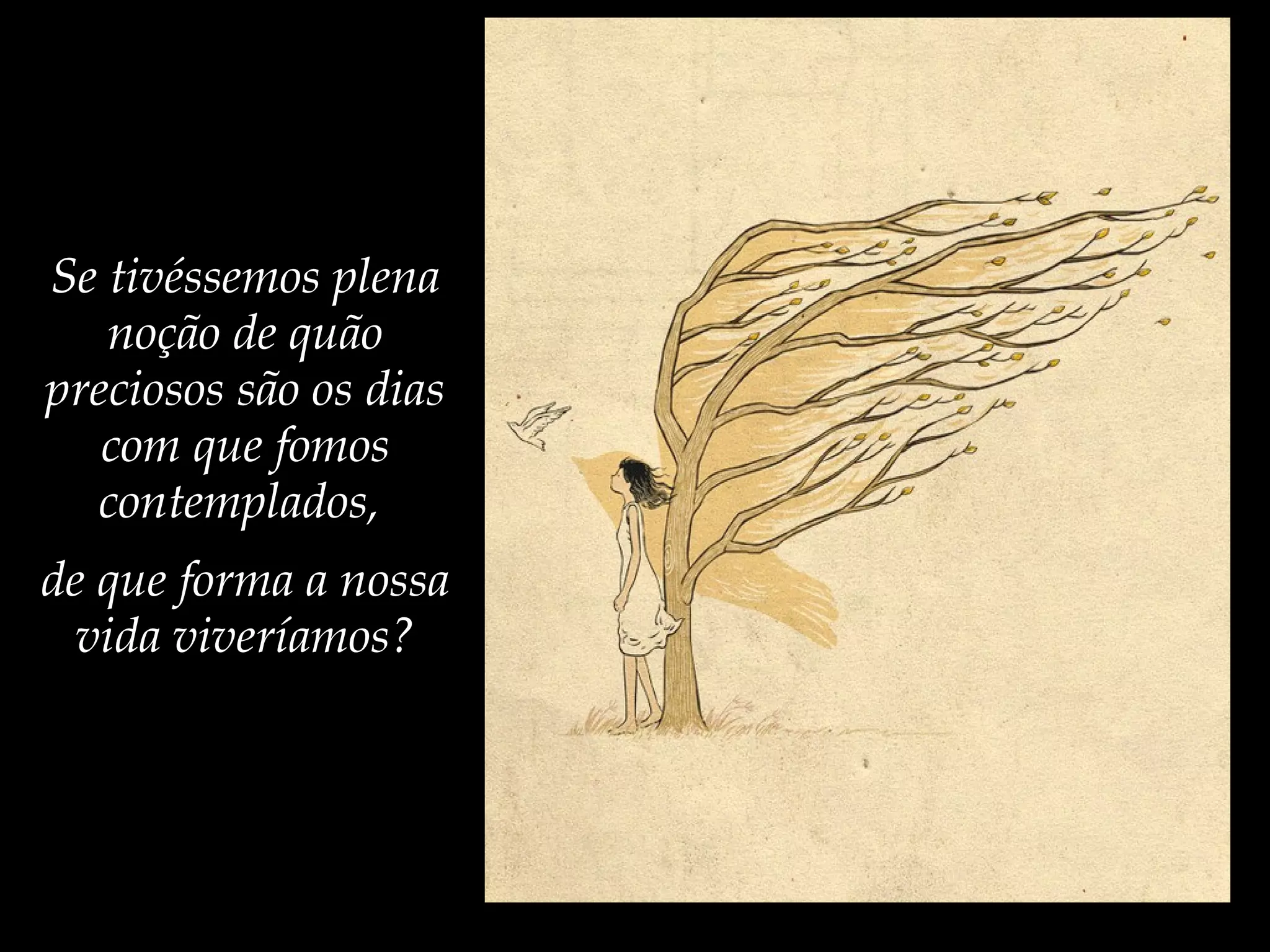 Se tivéssemos plena
noção de quão
preciosos são os dias
com que fomos
contemplados,
de que forma a nossa
vida viveríamos?
 
