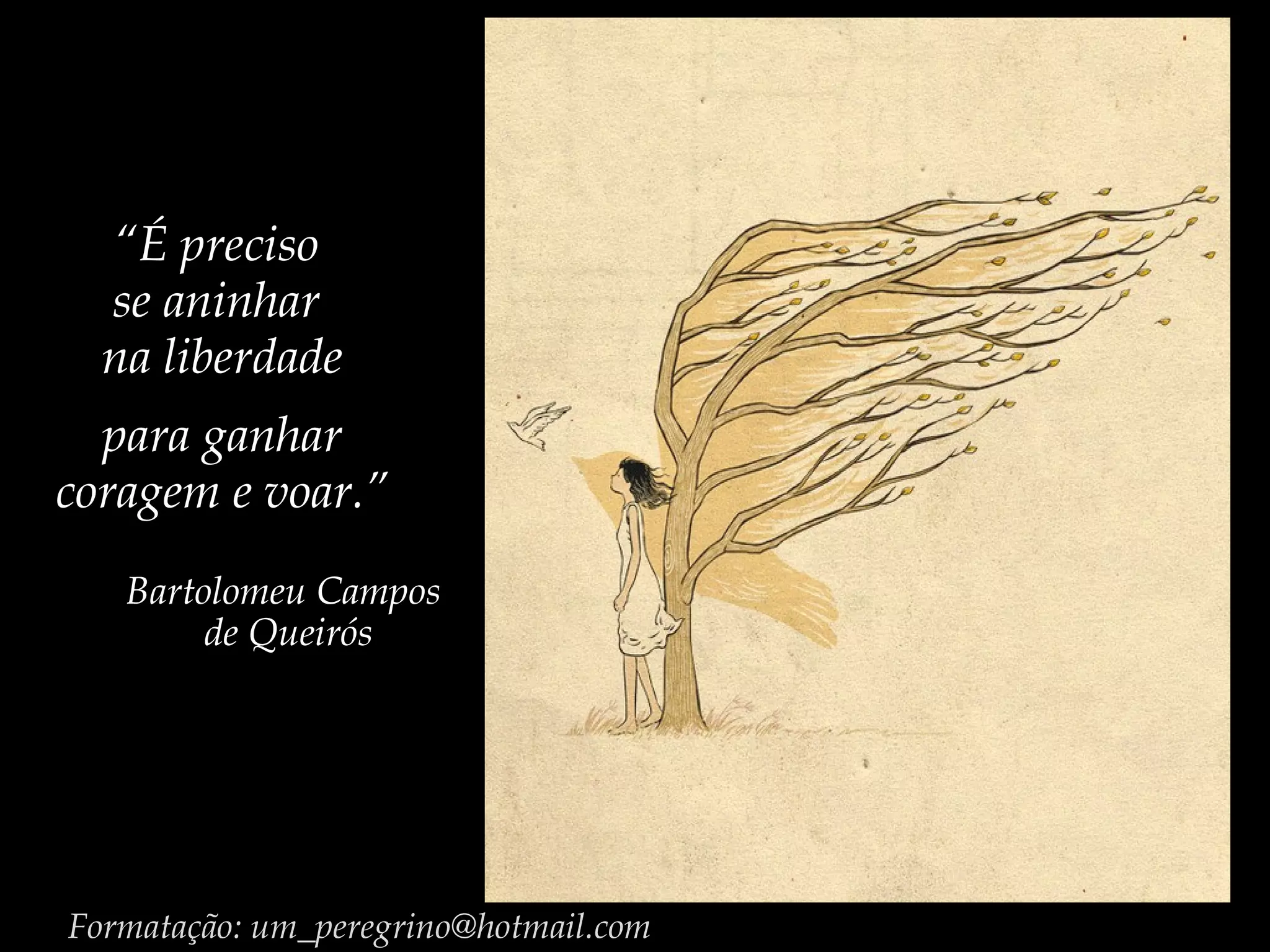 Formatação: um_peregrino@hotmail.com
“É preciso
se aninhar
na liberdade
para ganhar
coragem e voar.”
Bartolomeu Campos
de Queirós
 