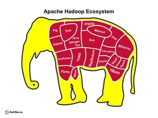 Hadoop Infrastructure and SoftServe Experience by Vitaliy Bashun, Data Architect