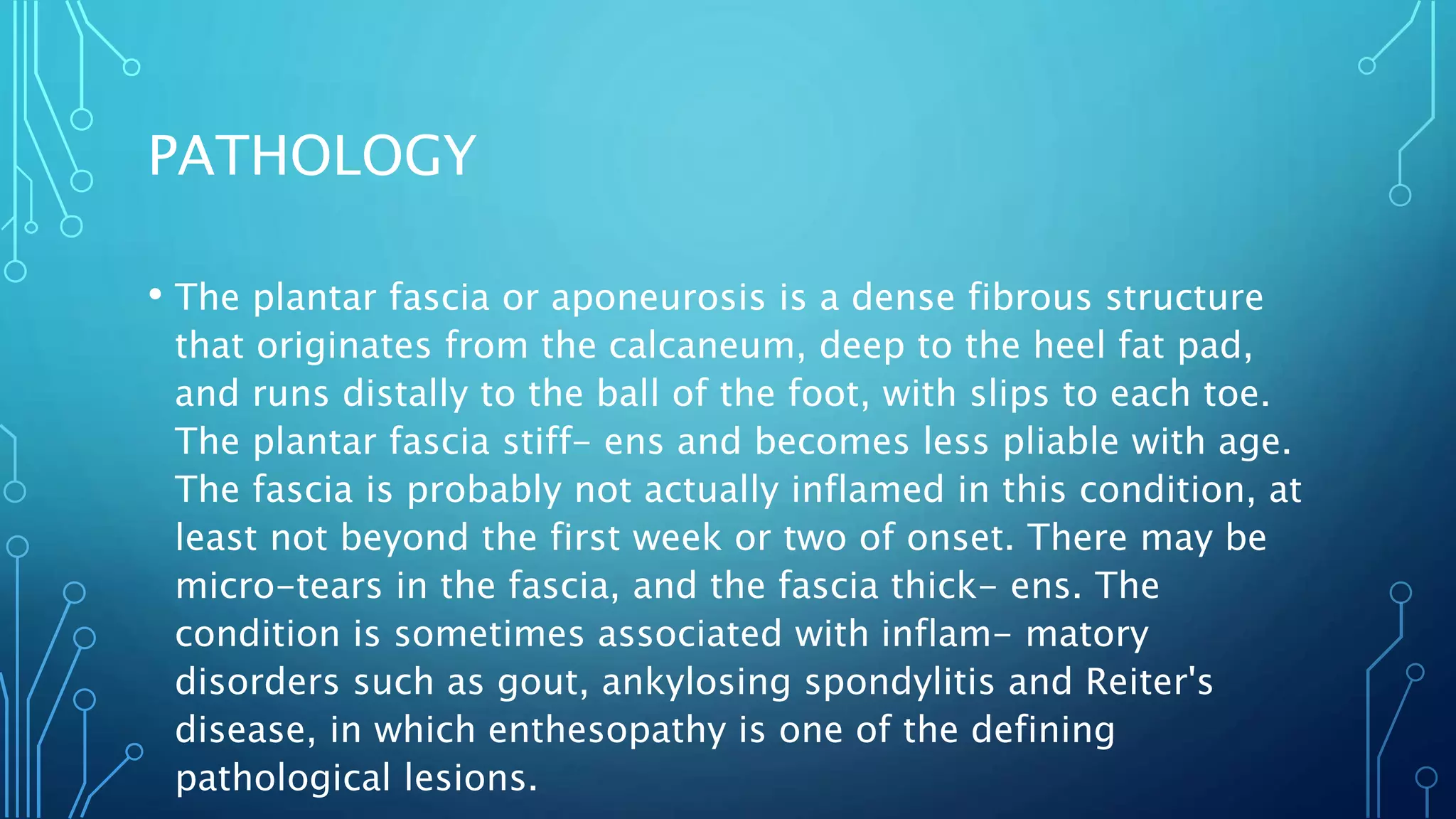 PATHOLOGY
• The plantar fascia or aponeurosis is a dense fibrous structure
that originates from the calcaneum, deep to the heel fat pad,
and runs distally to the ball of the foot, with slips to each toe.
The plantar fascia stiff- ens and becomes less pliable with age.
The fascia is probably not actually inflamed in this condition, at
least not beyond the first week or two of onset. There may be
micro-tears in the fascia, and the fascia thick- ens. The
condition is sometimes associated with inflam- matory
disorders such as gout, ankylosing spondylitis and Reiter's
disease, in which enthesopathy is one of the defining
pathological lesions.
 