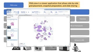 Azure S3 Local HDD Network UNC
PMA.core
Front-end JavaScript PMA.UI frameworkBack-end connectivity SDK
PMA.python PMA.phpPMA.java Viewport TreeviewGallery
Applications
PMA.view
PMA.view is a viewer application that allows side-by-side
grid placement, snapshot preparation, and slide sharing
 