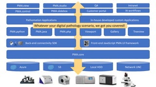 Azure S3 Local HDD Network UNC
PMA.core
Front-end JavaScript PMA.UI frameworkBack-end connectivity SDK
PMA.python PMA.phpPMA.java Viewport TreeviewGallery
QA IntranetPMA.view PMA.studio
In-house developed custom Applications
Customer portal IA workflows
Pathomation Applications
PMA.control PMA.slidebox
Whatever your digital pathology scenario, we got you covered!
 