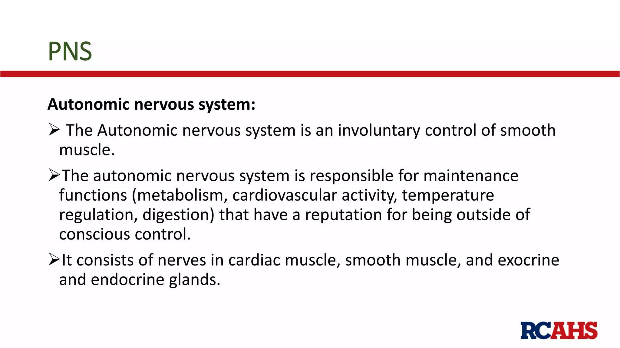PNS
Autonomic nervous system:
 The Autonomic nervous system is an involuntary control of smooth
muscle.
The autonomic nervous system is responsible for maintenance
functions (metabolism, cardiovascular activity, temperature
regulation, digestion) that have a reputation for being outside of
conscious control.
It consists of nerves in cardiac muscle, smooth muscle, and exocrine
and endocrine glands.
 