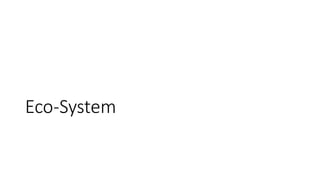Eco-System
 