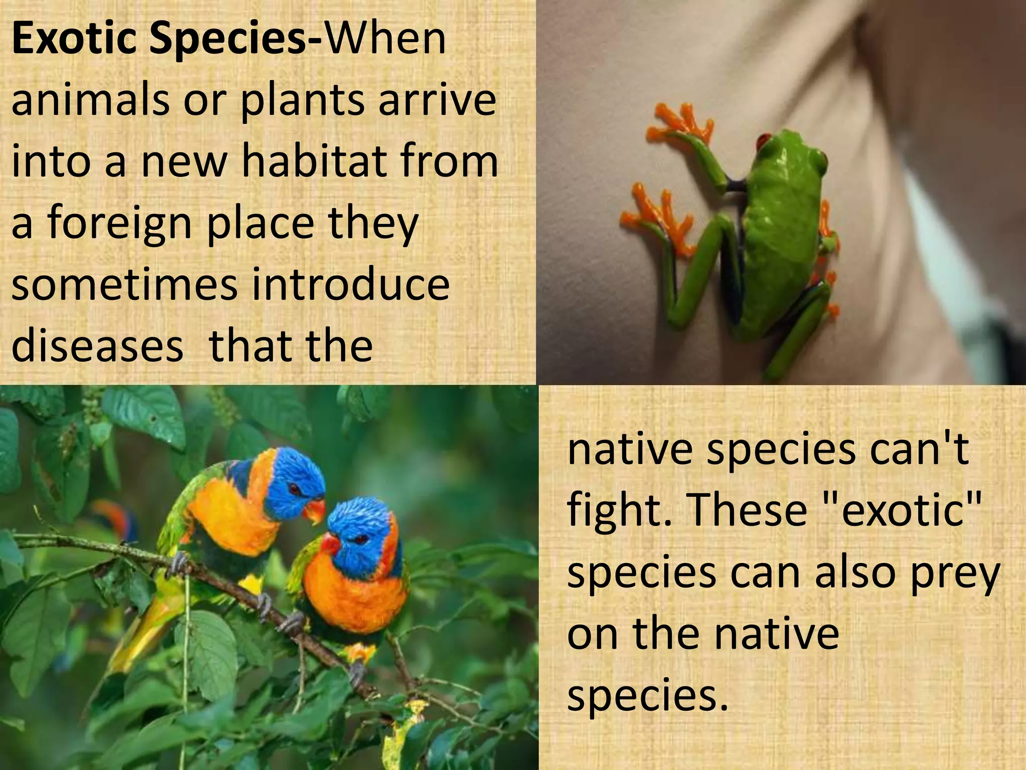 Exotic Species-When
animals or plants arrive
into a new habitat from
a foreign place they
sometimes introduce
diseases that the
native species can't
fight. These "exotic"
species can also prey
on the native
species.
 