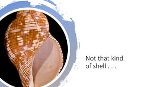 Not that kind
of shell . . .
 