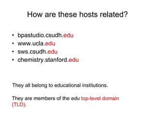How are these hosts related? bpastudio.csudh. edu www.ucla. edu sws.csudh. edu chemistry.stanford. edu They all belong to educational institutions. They are members of the  edu   top-level domain (TLD) . 