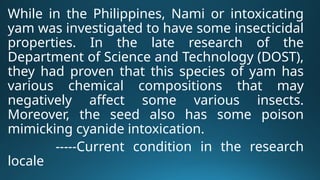 While in the Philippines, Nami or intoxicating
yam was investigated to have some insecticidal
properties. In the late research of the
Department of Science and Technology (DOST),
they had proven that this species of yam has
various chemical compositions that may
negatively affect some various insects.
Moreover, the seed also has some poison
mimicking cyanide intoxication.
-----Current condition in the research
locale
 