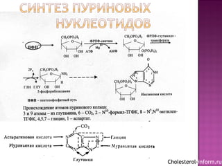 Cholesterol-inform.ru
 