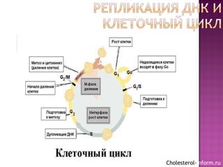 Cholesterol-inform.ru
 