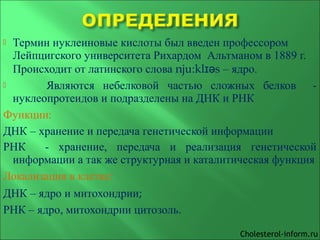  Термин нуклеиновые кислоты был введен профессором
Лейпцигского университета Рихардом Альтманом в 1889 г.
Происходит от латинского слова nju:kl sɪə – ядро.
 Являются небелковой частью сложных белков -
нуклеопротеидов и подразделены на ДНК и РНК
Функции:
ДНК – хранение и передача генетической информации
РНК - хранение, передача и реализация генетической
информации а так же структурная и каталитическая функция
Локализация в клетке:
ДНК – ядро и митохондрии;
РНК – ядро, митохондрии цитозоль.
Cholesterol-inform.ru
 