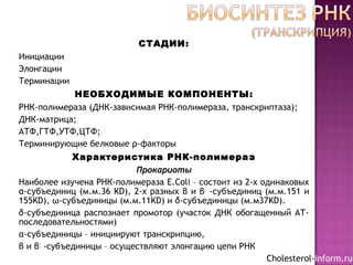 СТАДИИ:
Инициации
Элонгации
Терминации
НЕОБХОДИМЫЕ КОМПОНЕНТЫ:
РНК-полимераза (ДНК-зависимая РНК-полимераза, транскриптаза);
ДНК-матрица;
АТФ,ГТФ,УТФ,ЦТФ;
Терминирующие белковые ρ-факторы
Характеристика РНК-полимераз
Прокариоты
Наиболее изучена РНК-полимераза E.Coli – состоит из 2-х одинаковых
α-субъединиц (м.м.36 KD), 2-х разных β и β/
-субъединиц (м.м.151 и
155KD), ω-субъединицы (м.м.11KD) и δ-субъединицы (м.м37KD).
δ-субъединица распознает промотор (участок ДНК обогащенный АТ-
последовательностями)
α-субъединицы – инициируют транскрипцию,
β и β/
-субъединицы – осуществляют элонгацию цепи РНК
Cholesterol-inform.ru
 