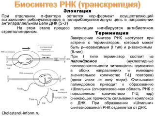 Элонгация
При отделении σ-фактора остается кор-фермент осуществляющий
встраивание рибонуклеотидов в полирибонуклеотидную цепь в направлении
антипараллельном цепи ДНК (5/
-3/
)
На этом этапе процесс элонгации ингибируется антибиотиком
стрептолигидином. Терминация
Завершение синтеза РНК наступает при
встрече с терминатором, который может
быть ρ-независимым (I тип) и ρ-зависимым
(II-тип).
При I типе терминатор состоит из
палиндромов (нуклеотидные
последовательности читающиеся одинаково
в обоих направлениях и имеющие
значительное количество Г-Ц повторов)
(ароза упала на лапу азора). Считывание
палиндромов приводит к образованию
«Шпильки» (спирализованная область РНК с
повышенным количеством Г-Ц пар)
снижающих прочность связывания комплекса
с ДНК. При образовании «Шпильки»
синтезированная РНК отделяется от ДНК.
Cholesterol-inform.ru
 