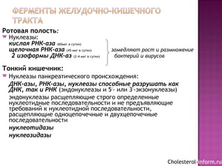 Ротовая полость:
 Нуклеазы:
кислая РНК-аза (60мкг в сутки)
щелочная РНК-аза (45 мкг в сутки) замедляют рост и размножение
2 изоформы ДНК-аз (2-4 мкг в сутки) бактерий и вирусов
Тонкий кишечник:
 Нуклеазы панкреатического происхождения:
ДНК-азы, РНК-азы, нуклеазы способные разрушать как
ДНК, так и РНК (эндонуклеазы и 5/
- или 3/
-экзонуклеазы)
эндонуклеазы расщепляющие строго определенные
нуклеотидные последовательности и не предъявляющие
требований к нуклеотидной последовательности,
расщепляющие одноцепочечные и двухцепочечные
последовательности
нуклеотидазы
нуклеозидазы
Cholesterol-inform.ru
 