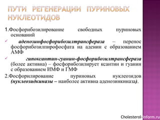 1.Фосфорибозилирование свободных пуриновых
оснований
 аденозинфосфорибозилтрансфераза – перенос
фосфорибозилпирофосфата на аденин с образованием
АМФ
 гипоксантин-гуанин-фосфорибозилтрансфераза
(более активна) – фосфорибозилирует ксантин и гуанин
с образованием ИМФ и ГМФ
2.Фосфорилирование пуриновых нуклеозидов
(нуклеозидкиназы – наиболее активна аденозинкиназа).
Cholesterol-inform.ru
 