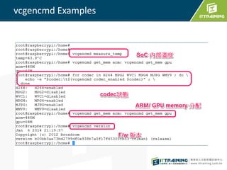 vcgencmd Examples
 