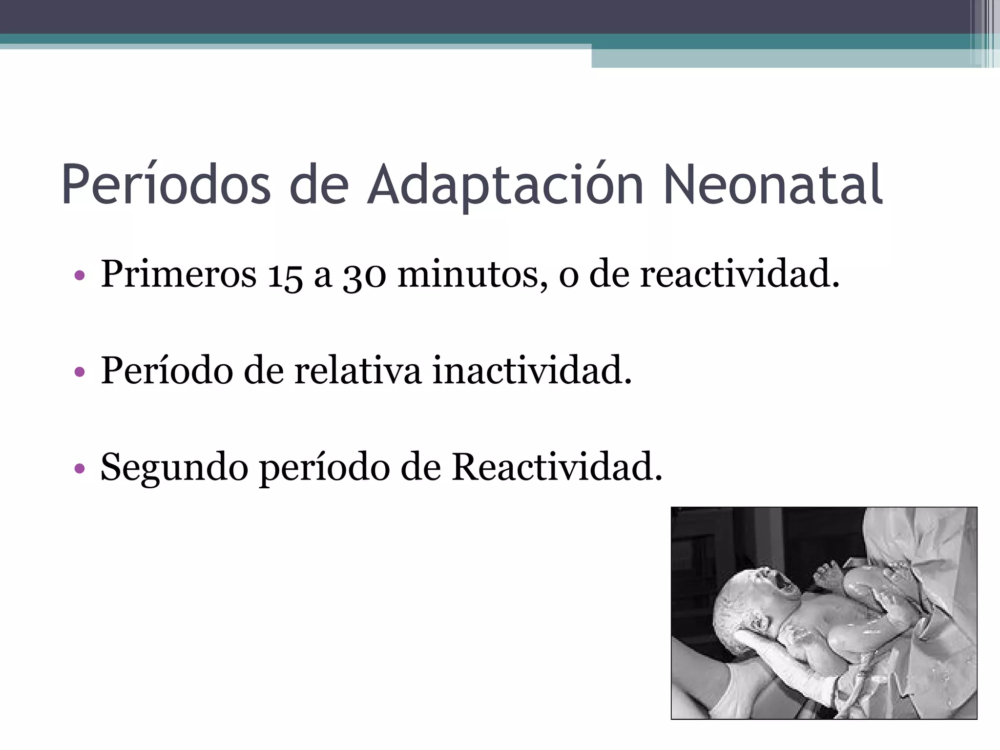 Períodos de Adaptación Neonatal Primeros 15 a 30 minutos, o de reactividad. Período de relativa inactividad. Segundo período de Reactividad. 