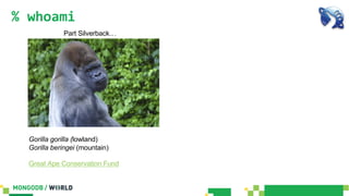 % whoami
Gorilla gorilla (lowland)
Gorilla beringei (mountain)
Great Ape Conservation Fund
Part Silverback…
 