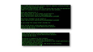 SQL Server 2017 en Linux