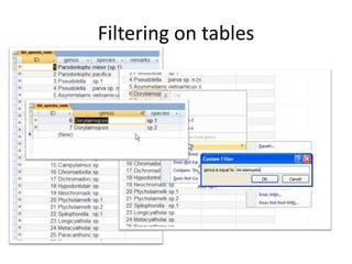 Filtering on tables
 