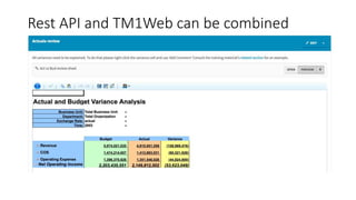 Rest API and TM1Web can be combined
 
