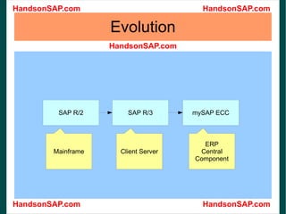 Evolution Mainframe Client Server ERP Central Component 