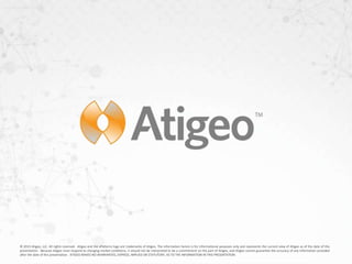 16 Atigeo Confidential
Nagios monitoring
 