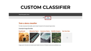 CUSTOM CLASSIFIER
 