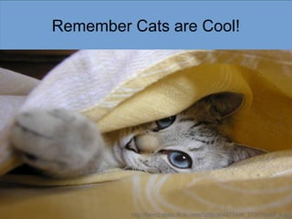 Remember Cats are Cool!




         http://farm2.static.flickr.com/1250/964877496_27357f5d8f_b.jpg
 