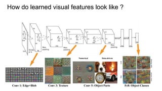 How do learned visual features look like ?
 