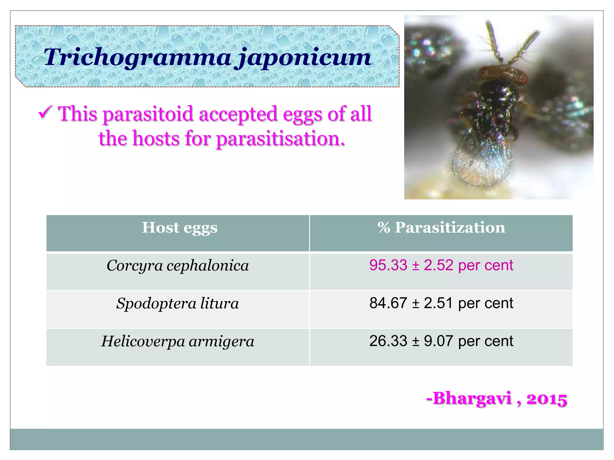 Trichogramma japonicum
Host eggs % Parasitization
Corcyra cephalonica 95.33 ± 2.52 per cent
Spodoptera litura 84.67 ± 2.51 per cent
Helicoverpa armigera 26.33 ± 9.07 per cent
 This parasitoid accepted eggs of all
the hosts for parasitisation.
-Bhargavi , 2015
 