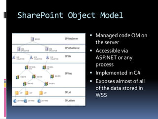 SharePoint Object Model

                Managed code OM on
                 the server
                Accessible via
                 ASP.NET or any
                 process
                Implemented in C#
                Exposes almost of all
                 of the data stored in
                 WSS
 