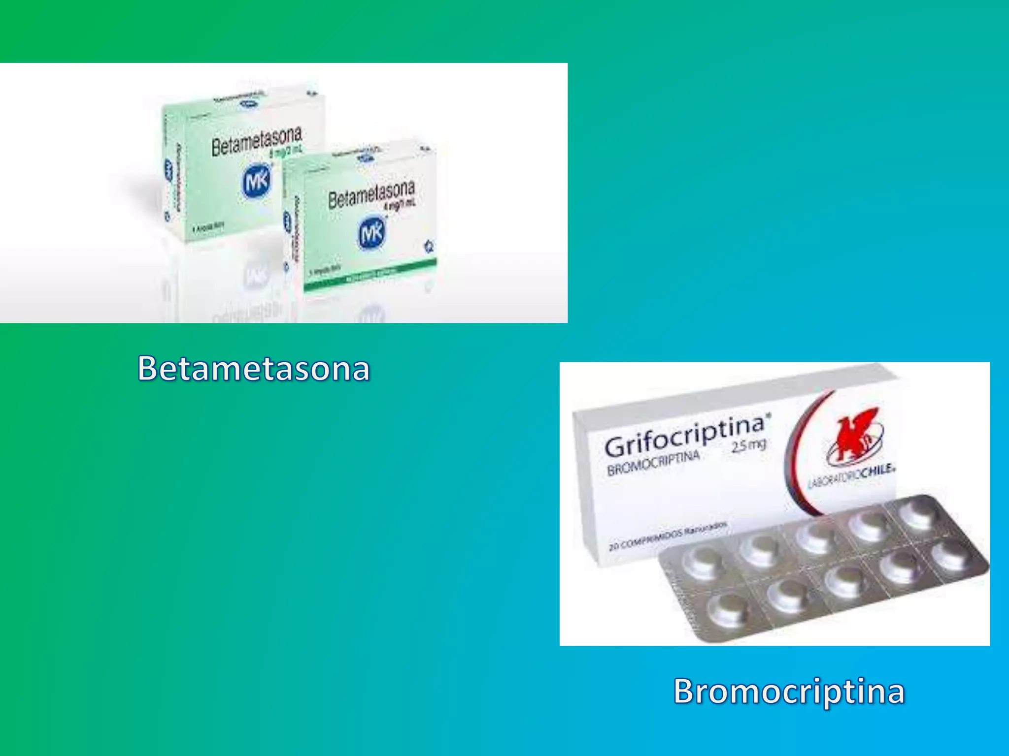 Sistema endocrino y funciones