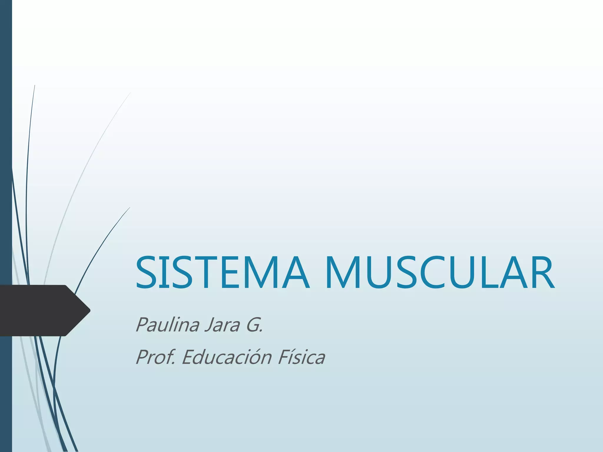 SISTEMA MUSCULAR
Paulina Jara G.
Prof. Educación Física
 