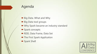 Agenda
 Big Data. What and Why
 Big Data tool groups
 Why Spark became an industry standard
 Spark concepts
 RDD, Data Frame, Data Set
 The First Spark Application
 Spark Shell
 