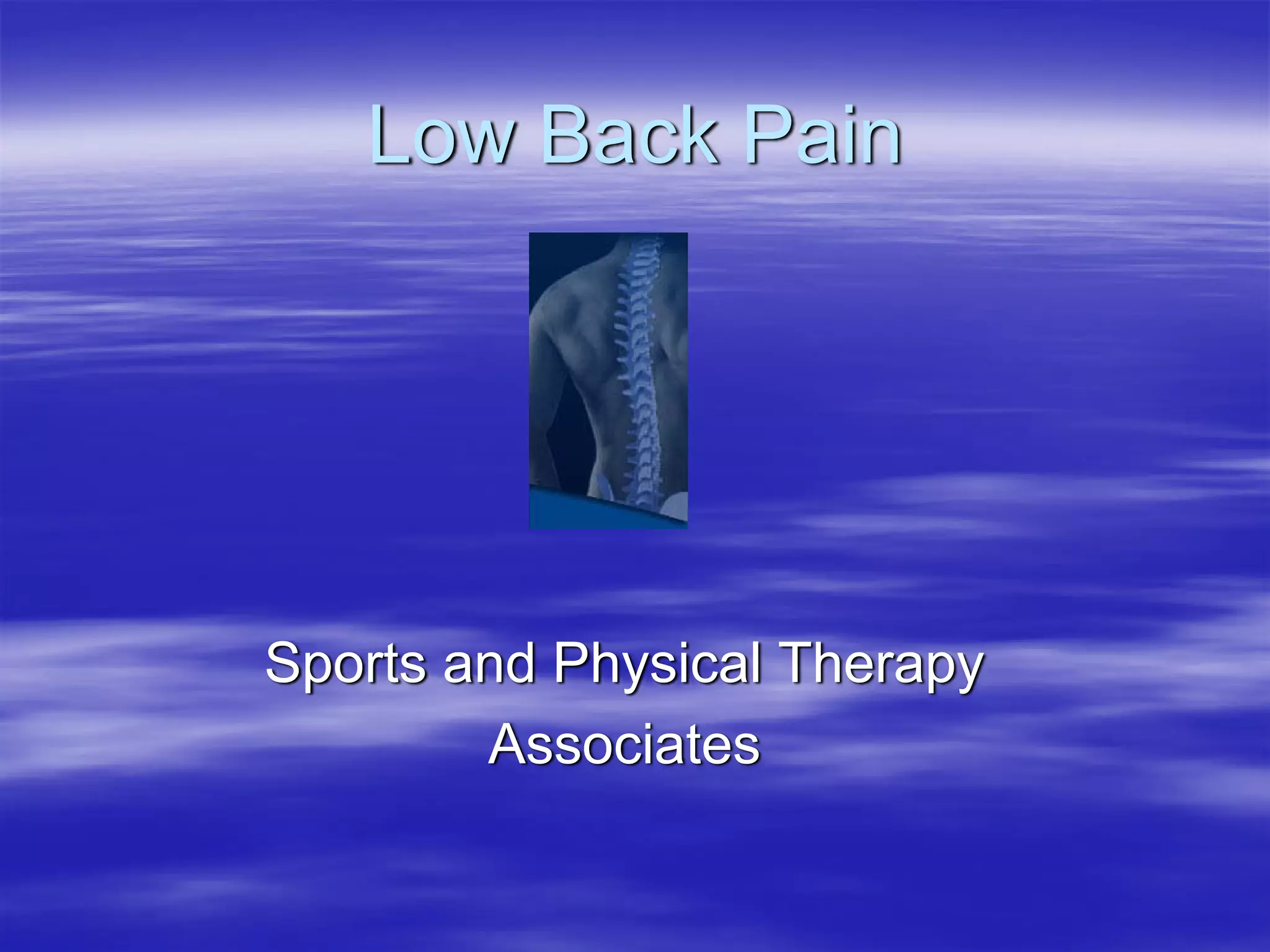 Low Back Pain




Sports and Physical Therapy
        Associates
 