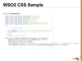 WSO2 CSS Sample
 