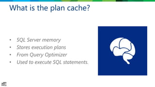 What is the plan cache?
• SQL Server memory
• Stores execution plans
• From Query Optimizer
• Used to execute SQL statements.
 