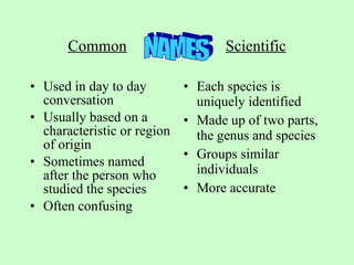 Common   Scientific Used in day to day conversation Usually based on a characteristic or region of origin Sometimes named after the person who studied the species Often confusing Each species is uniquely identified Made up of two parts, the genus and species Groups similar individuals More accurate NAMES 