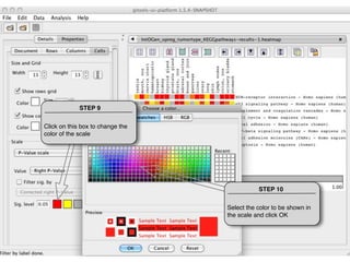 STEP 9


Click on this box to change the
color of the scale




                                             STEP 10


                                  Select the color to be shown in
                                  the scale and click OK
 