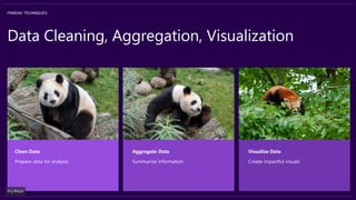 Data Cleaning, Aggregation, Visualization
Clean Data
Prepare data for analysis
Aggregate Data
Summarize information
Visualize Data
Create impactful visuals
PANDAS TECHNIQUES
 