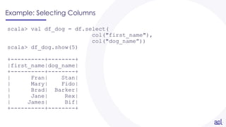 Example: Selecting Columns
scala> val df_dog = df.select(
col("first_name"),
col("dog_name”))
scala> df_dog.show(5)
+----------+--------+
|first_name|dog_name|
+----------+--------+
| Fran| Stan|
| Mary| Fido|
| Brad| Barker|
| Jane| Rex|
| James| Bif|
+----------+--------+
 