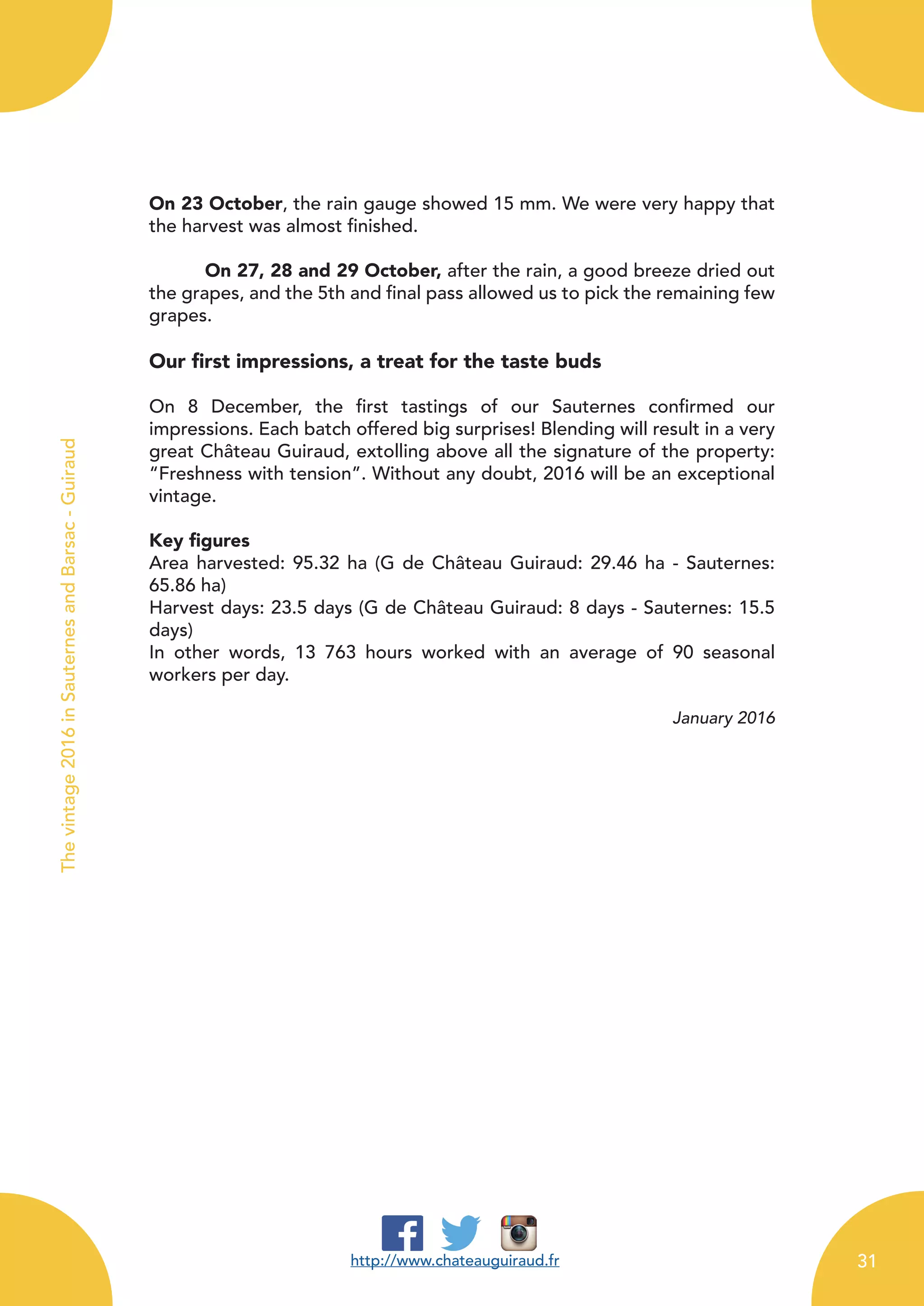 On 23 October, the rain gauge showed 15 mm. We were very happy that
the harvest was almost finished.
	 On 27, 28 and 29 October, after the rain, a good breeze dried out
the grapes, and the 5th and final pass allowed us to pick the remaining few
grapes.
Our first impressions, a treat for the taste buds
On 8 December, the first tastings of our Sauternes confirmed our
impressions. Each batch offered big surprises! Blending will result in a very
great Château Guiraud, extolling above all the signature of the property:
“Freshness with tension”. Without any doubt, 2016 will be an exceptional
vintage.
Key figures
Area harvested: 95.32 ha (G de Château Guiraud: 29.46 ha - Sauternes:
65.86 ha)
Harvest days: 23.5 days (G de Château Guiraud: 8 days - Sauternes: 15.5
days)
In other words, 13 763 hours worked with an average of 90 seasonal
workers per day.
January 2016
http://www.chateauguiraud.fr
Thevintage2016inSauternesandBarsac-Guiraud
31
 